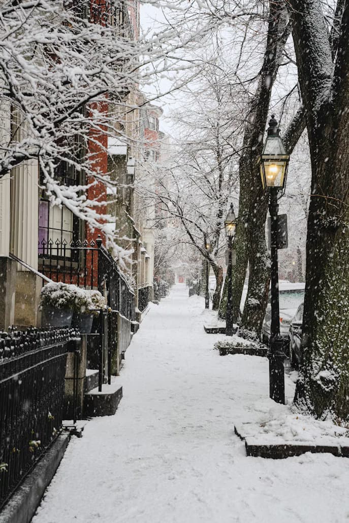 Chicago's Winter Overnight Parking Ban Explained